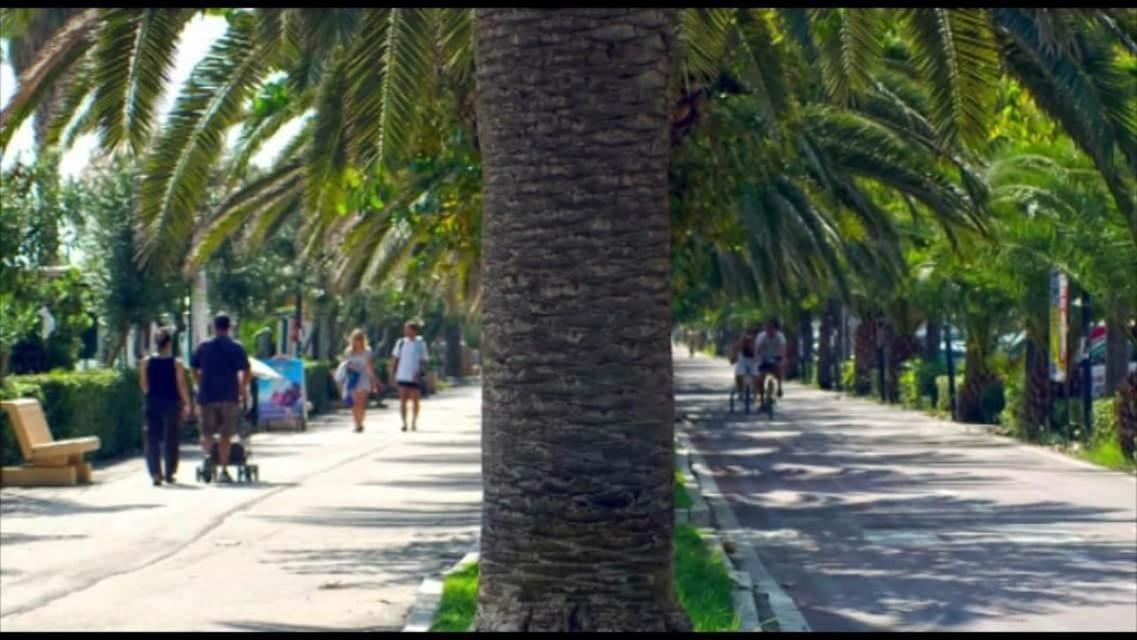 Hotel Joli Alba Adriatica Eksteriør bilde